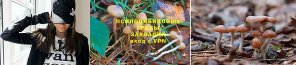бутират Алексин
