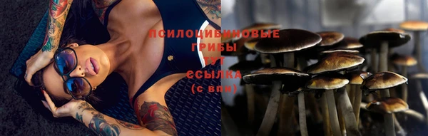 каннабис Алзамай
